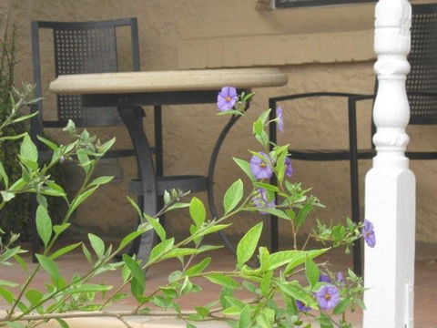 Amalie Cottage Waikerie - Tourism Guide 0