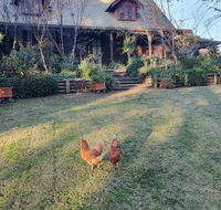 Angaston by the Winter Creek - Travel Agents