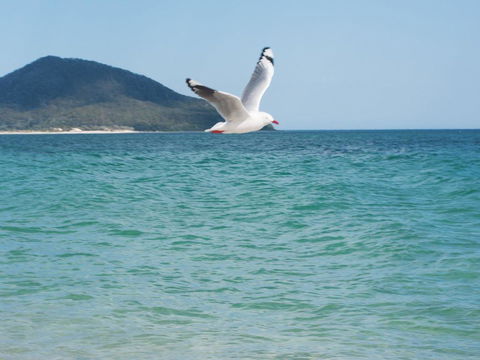 Architectural Design On The Beach - Cruises Travel 1
