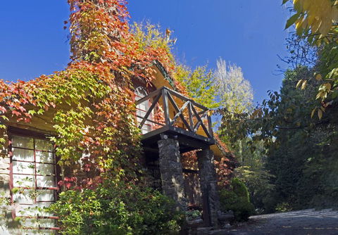 Arnica Views Summit Retreat - Tourism Guide 0