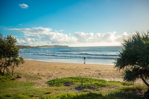 ArtHOUSE Beachfront Accommodation - Travel Search 1