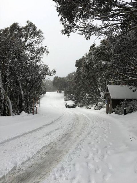 MAGNIFICENT SKIING ON MOUNT BULLER - Tourism Guide 3