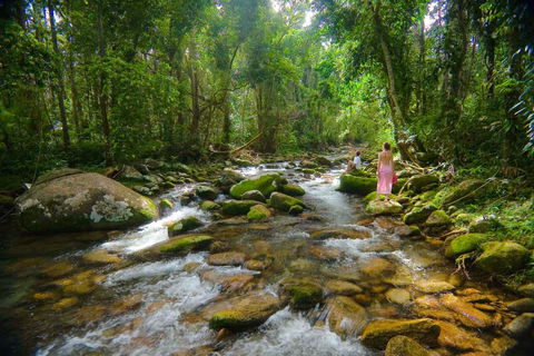 Misty Mountains Hideaway - Travel Search 0