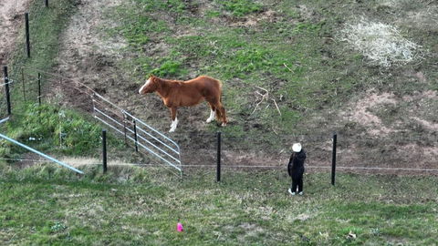 Myrtle At Lexington Park - Tourism Guide 1