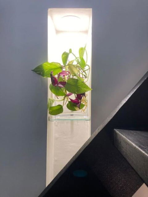 Nature Retreat & Artists Studio 90mins From Sydney - Travel Agents 2