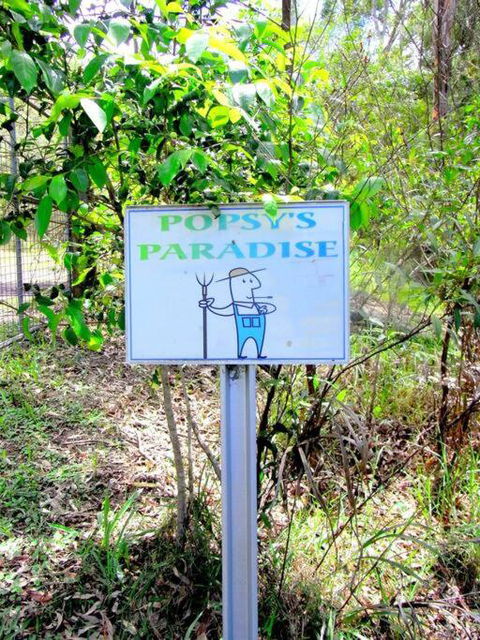 Nature Retreat & Artists Studio 90mins From Sydney - Travel Agents 3
