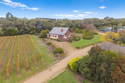 Northway Downs Estate Vineyard - Travel Search 3