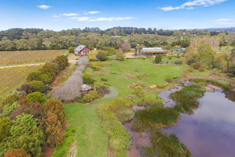 Northway Downs Estate Vineyard - Travel Search 2