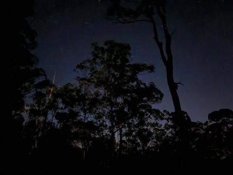 Oakey Creek Country Retreat Kenilworth - Tourism Guide 3
