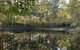 Oakey Creek Country Retreat Kenilworth - thumb 2