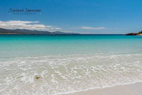 Ocean Dreams - Tourism Guide 1