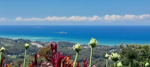 ON TOP Of THE WORLD Garden Studio - Tourism Guide 0