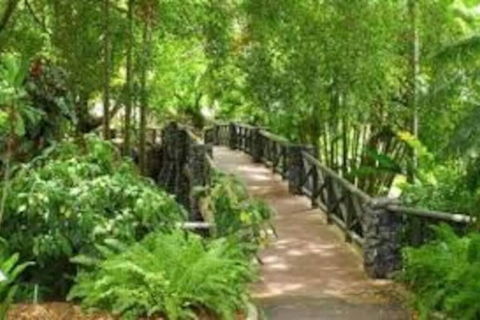 Paddington Pad With Back Deck And Free Car Space Close To Suncorp - Cruises Travel 2