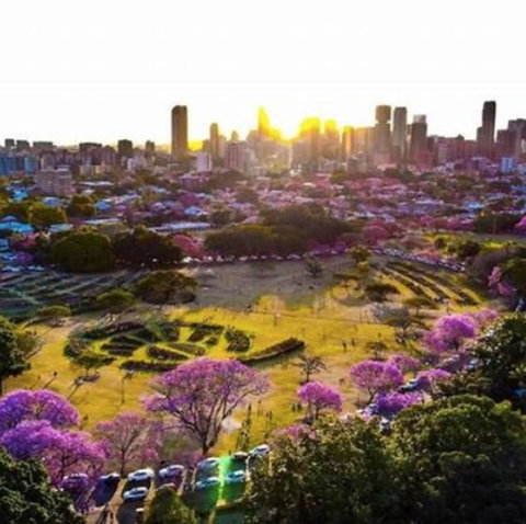 Perfect Haven In Spring Hill 2B1B And Parking - Travel Search 2