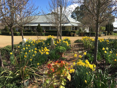 Petschel House - Travel Agents 1