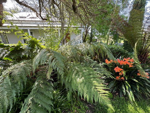 Petschel House - Travel Agents 3