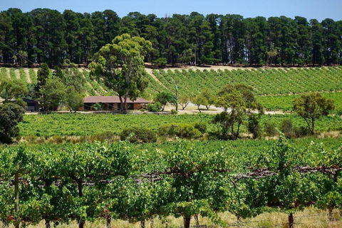 Picturesque Vineyard Farmhouse Nestled On 40-Acres - Travel Search 0
