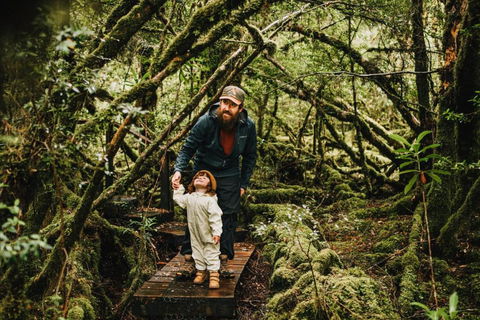 Pine Edge Heights By Tiny Away - Travel Search 3