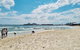 Port Melbourne Dog Beach Stays - thumb 2