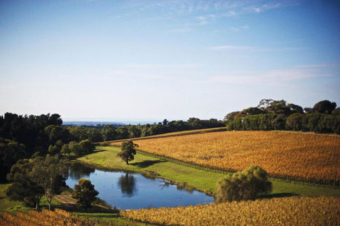 Port Phillip Estate - Travel Agents 2