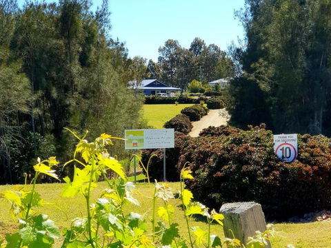 Red Door Collective - RDC Vineyard Estate, Luxury Adult Only Stay - Tourism Guide 0
