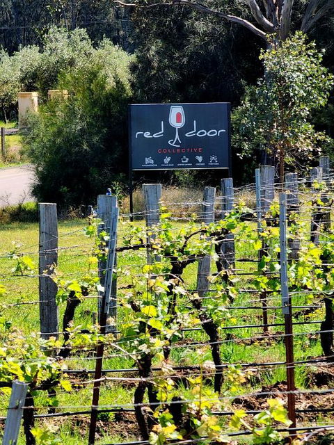 Red Door Collective - RDC Vineyard Estate, Luxury Adult Only Stay - Tourism Guide 1