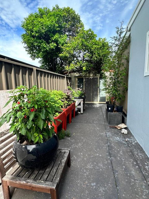 Private, Local Living Studio In Mascot, Airport - Tourism Guide 2
