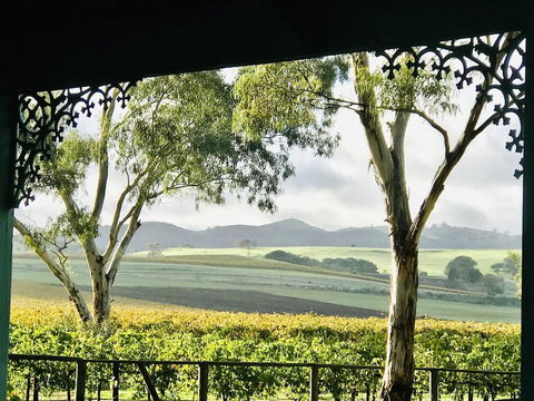 Azalea Cedar-Rose Barossa Valley Villa - Tourism Guide 1