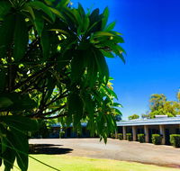 Balonne River Motor Inn - Tourism Guide