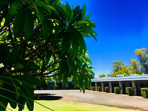 Balonne River Motor Inn - Travel Search 0