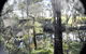 Barrabup Sanctuary BirdHide - thumb 1