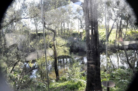 Barrabup Sanctuary BirdHide - Cruises Travel 1
