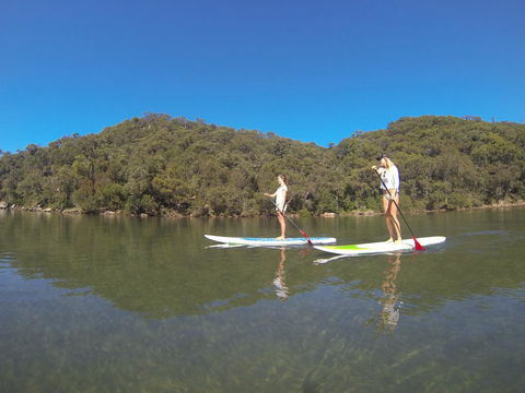 Basin Ku-ring-gai Campsite Set Up - Travel Search 3
