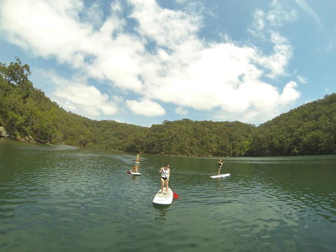 Basin Ku-ring-gai Campsite Set Up - Travel Search 1