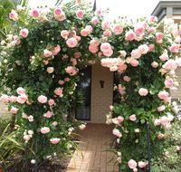 Baudins of Busselton Bed and Breakfast - Travel Agents