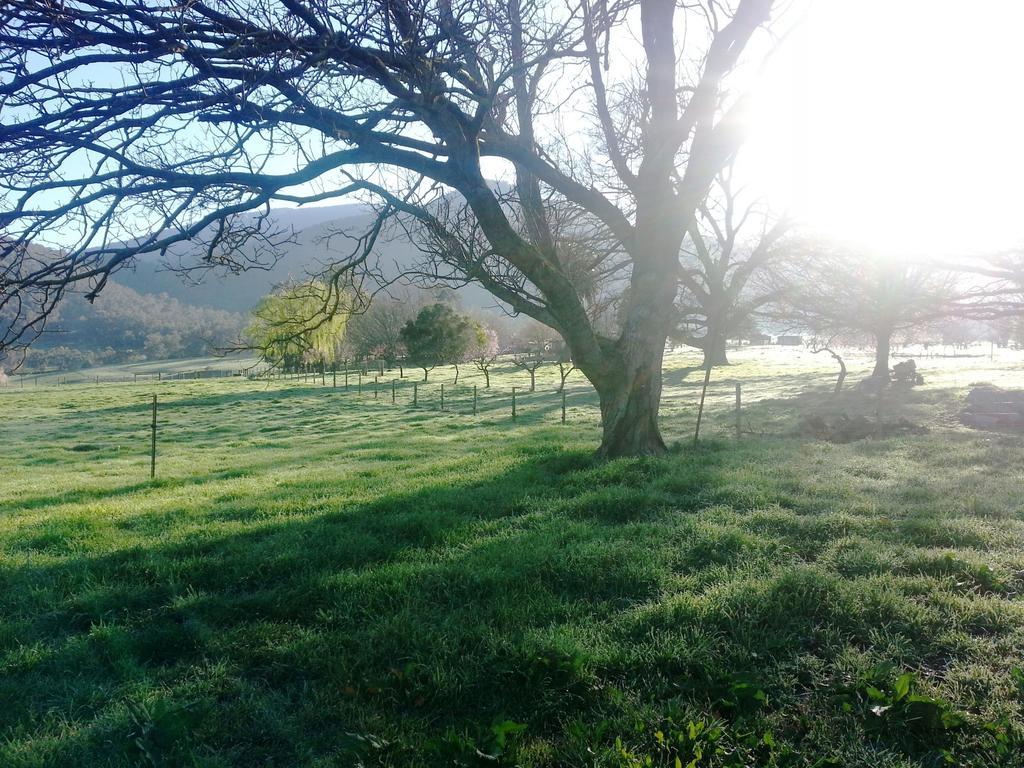 Lucyvale VIC Tourism Guide