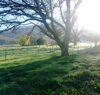 Bay Creek Guest House - Tourism Guide