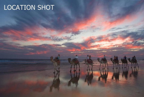 Beach House On James Patterson - Travel Search 2