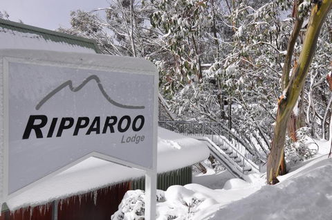 Ripparoo Lodge - Travel Search 0