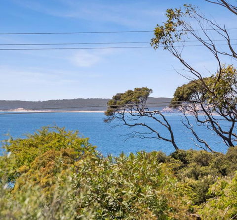 RIPVIEW In Old Lonnie - Travel Search 1