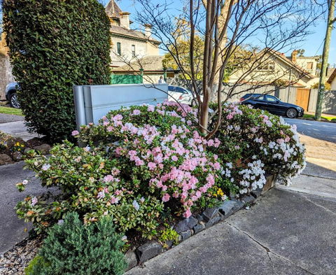 Riverside Haven On City Doorstep - Travel Search 1
