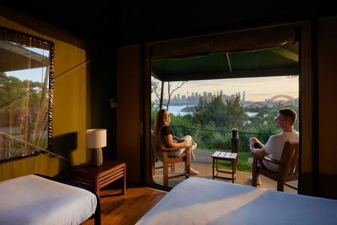 Roar And Snore - Cruises Travel 0