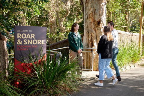 Roar And Snore - Cruises Travel 1