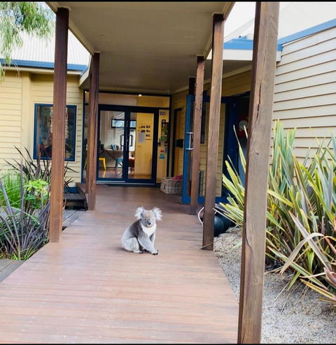 Sandpiper Motel Apollo Bay - Travel Agents 3