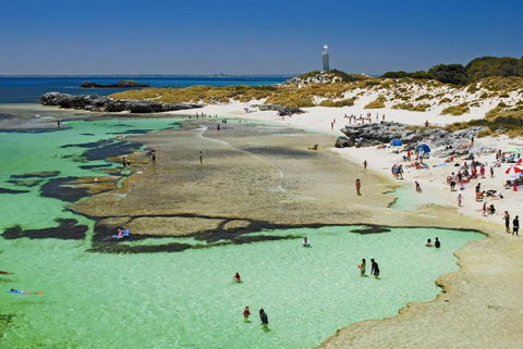 Stay Rottnest - Travel Search 1