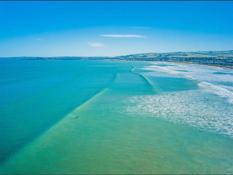 Tahren Beachfront Shack Wifi - Pet-friendly - Tourism Guide 3