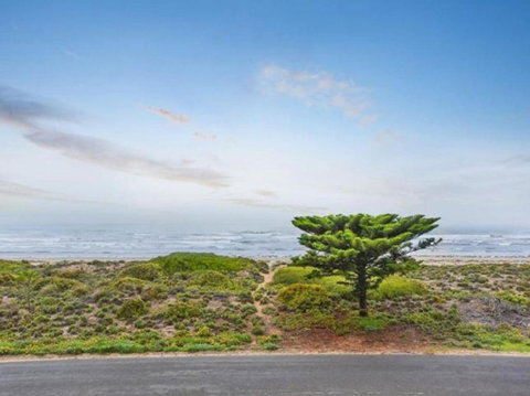 Tahren Beachfront Shack Wifi - Pet-friendly - Tourism Guide 1