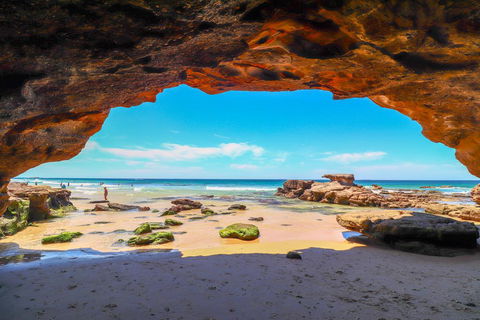 Beachside Oasis - Travel Search 1