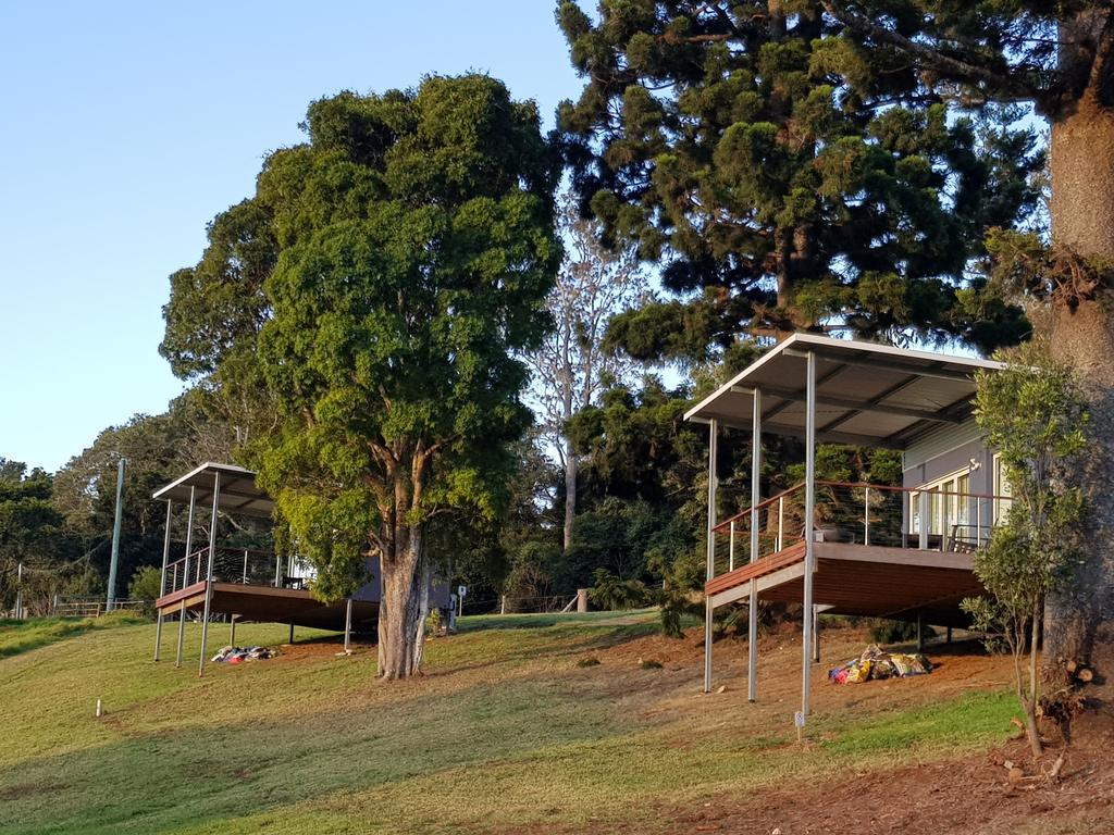Beechmont QLD Travel Search