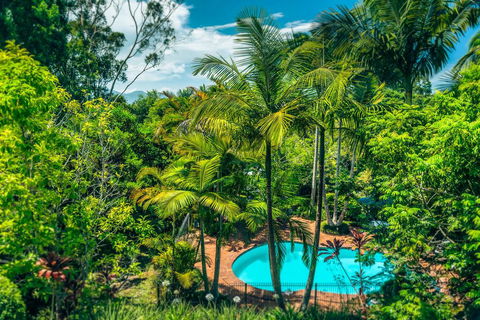 Bella Vista Bellingen - Tourism Guide 1